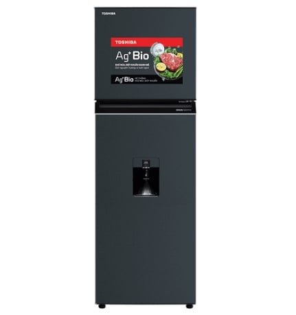 Tủ lạnh Toshiba Inverter 249 lít GR-RT325WE-PMV(06)-MG